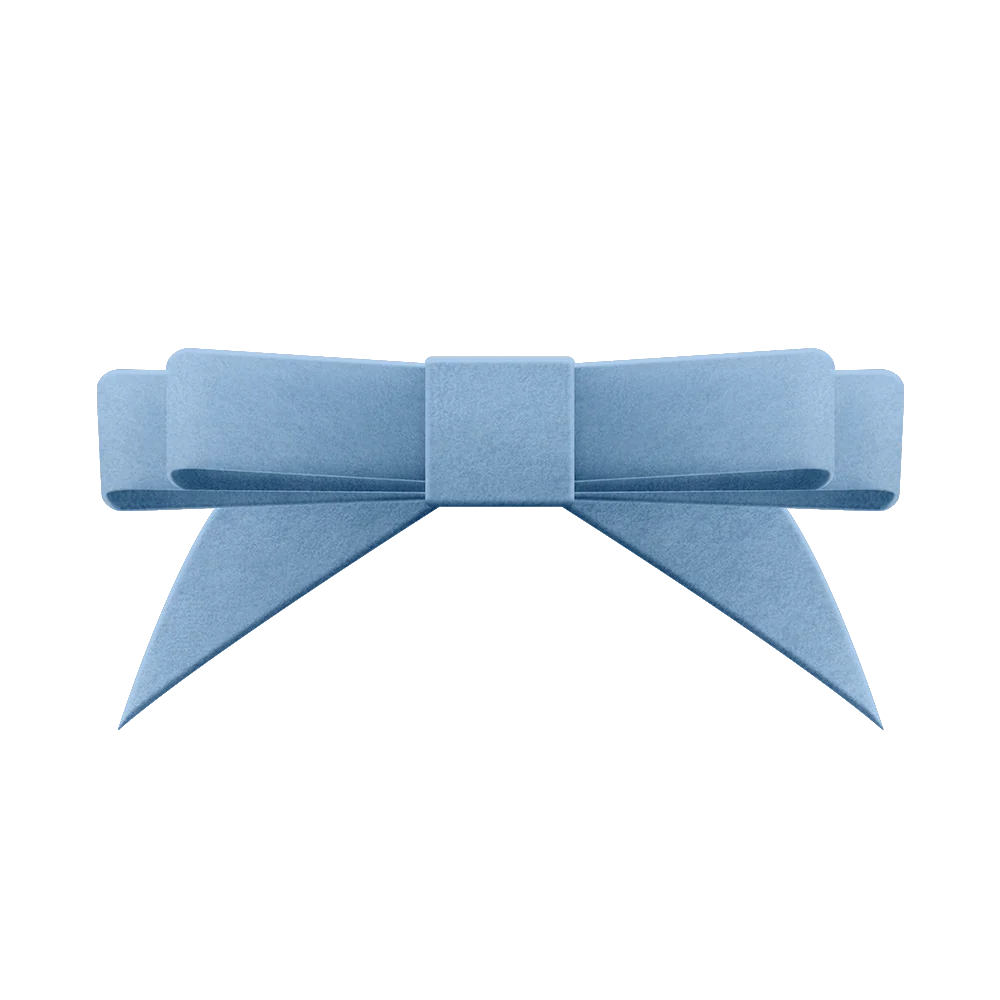 Velvet Bow Velvet Bow